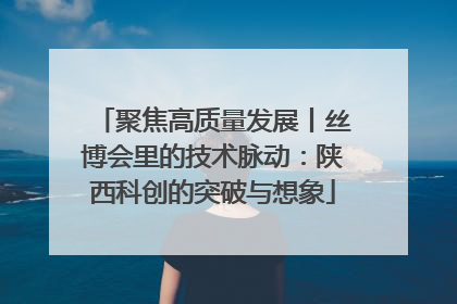 聚焦高质量发展丨丝博会里的技术脉动：陕西科创的突破与想象