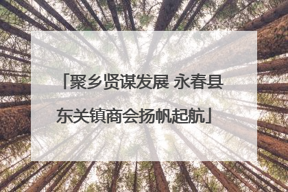 聚乡贤谋发展 永春县东关镇商会扬帆起航