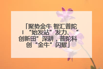 聚势金牛 智汇普陀〡“始发站”发力、“创新田”深耕，普陀科创“金牛”闪耀