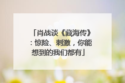 肖战谈《藏海传》：惊险、刺激，你能想到的我们都有