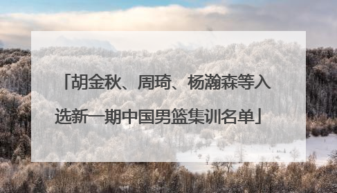 胡金秋、周琦、杨瀚森等入选新一期中国男篮集训名单