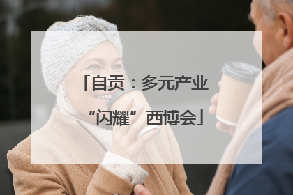 自贡：多元产业“闪耀”西博会