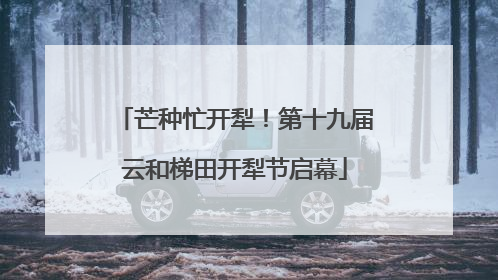 芒种忙开犁！第十九届云和梯田开犁节启幕