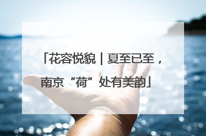 花容悦貌｜夏至已至，南京“荷”处有美韵