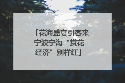 花海盛宴引客来 宁波宁海“赏花经济”别样红