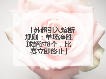 苏超引入熔断规则：单场净胜球超过8个，比赛立即终止