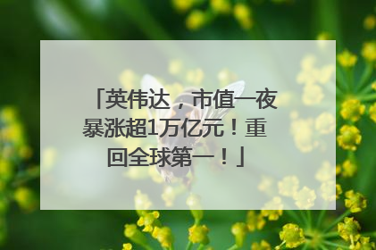 英伟达，市值一夜暴涨超1万亿元！重回全球第一！