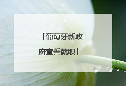 葡萄牙新政府宣誓就职