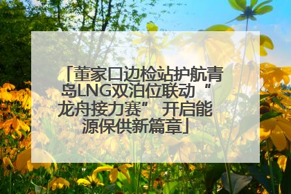 董家口边检站护航青岛LNG双泊位联动“龙舟接力赛” 开启能源保供新篇章