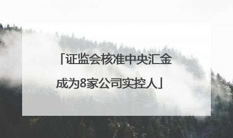 证监会核准中央汇金成为8家公司实控人