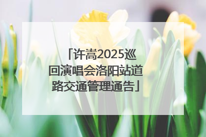许嵩2025巡回演唱会洛阳站道路交通管理通告