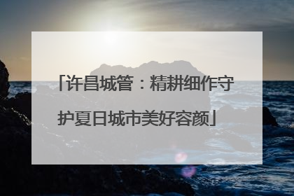 许昌城管：精耕细作守护夏日城市美好容颜