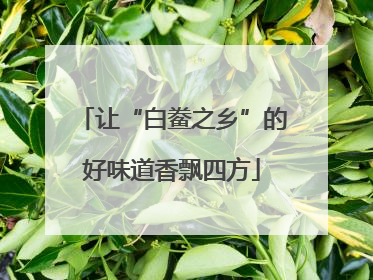 让“白鲞之乡”的好味道香飘四方