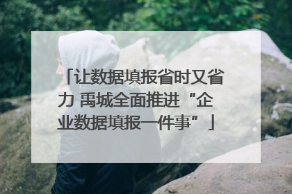 让数据填报省时又省力 禹城全面推进“企业数据填报一件事”