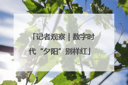记者观察｜数字时代“夕阳”别样红
