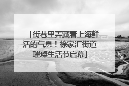街巷里弄藏着上海鲜活的气息！徐家汇街道璀璨生活节启幕