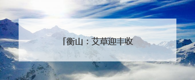 衡山：艾草迎丰收 助力村集体增收