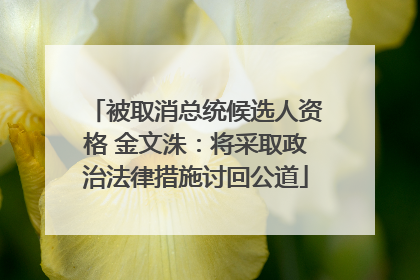 被取消总统候选人资格 金文洙：将采取政治法律措施讨回公道