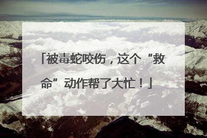 被毒蛇咬伤，这个“救命”动作帮了大忙！