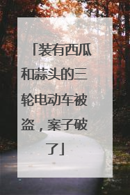 装有西瓜和蒜头的三轮电动车被盗，案子破了