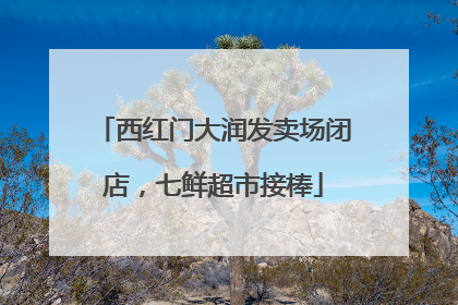 西红门大润发卖场闭店，七鲜超市接棒