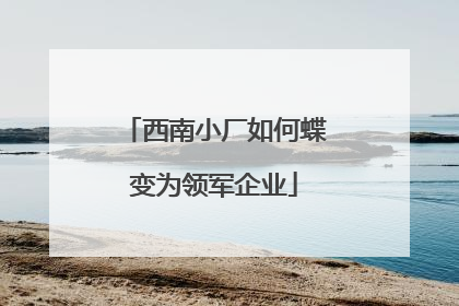 西南小厂如何蝶变为领军企业