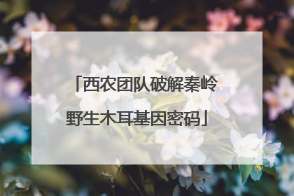 西农团队破解秦岭野生木耳基因密码