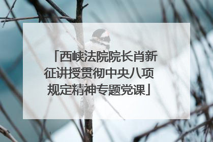 西峡法院院长肖新征讲授贯彻中央八项规定精神专题党课