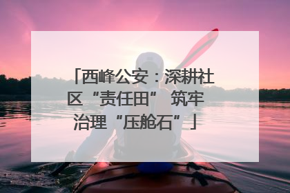 西峰公安：深耕社区“责任田” 筑牢治理“压舱石”