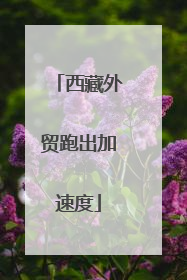 西藏外贸跑出加速度