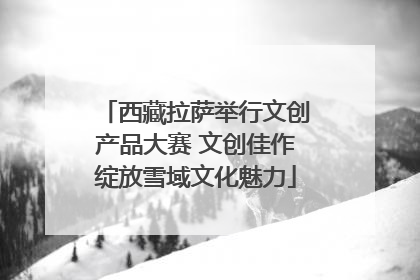 西藏拉萨举行文创产品大赛 文创佳作绽放雪域文化魅力