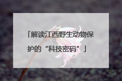 解读江西野生动物保护的“科技密码”