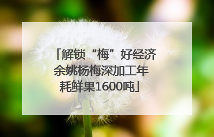 解锁“梅”好经济 余姚杨梅深加工年耗鲜果1600吨