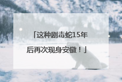 这种剧毒蛇15年后再次现身安徽！
