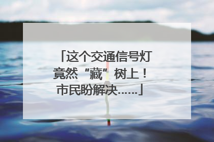 这个交通信号灯竟然“藏”树上！市民盼解决……