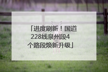 进度刷新！国道228线泉州段4个路段焕新升级