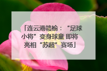 连云港赣榆：“足球小将”变身球童 即将亮相“苏超”赛场