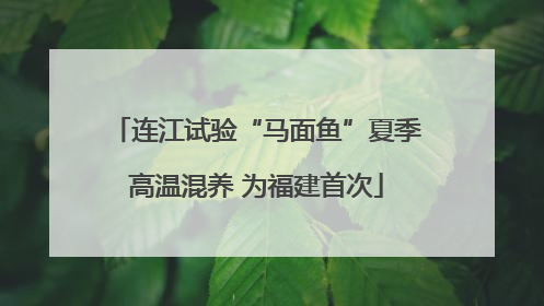 连江试验“马面鱼”夏季高温混养 为福建首次
