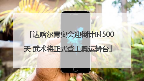 达喀尔青奥会迎倒计时500天 武术将正式登上奥运舞台