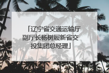 辽宁省交通运输厅副厅长杨树履新省交投集团总经理