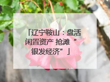 辽宁鞍山：盘活闲置资产 抢滩“银发经济”