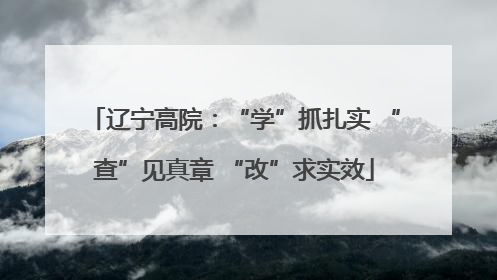 辽宁高院：“学”抓扎实 “查”见真章 “改”求实效