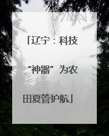 辽宁：科技“神器”为农田夏管护航