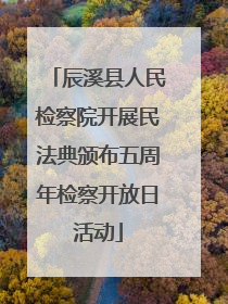 辰溪县人民检察院开展民法典颁布五周年检察开放日活动