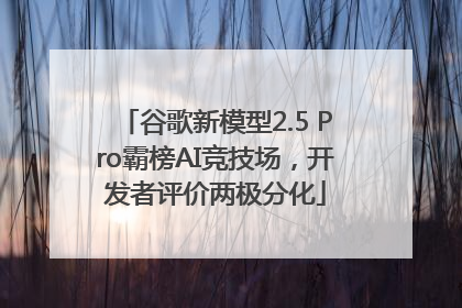 谷歌新模型2.5 Pro霸榜AI竞技场，开发者评价两极分化