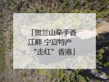 贺兰山牵手香江畔 宁夏特产“走红”香港