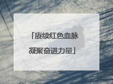 赓续红色血脉 凝聚奋进力量