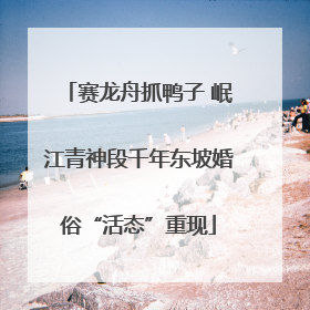 赛龙舟抓鸭子 岷江青神段千年东坡婚俗“活态”重现