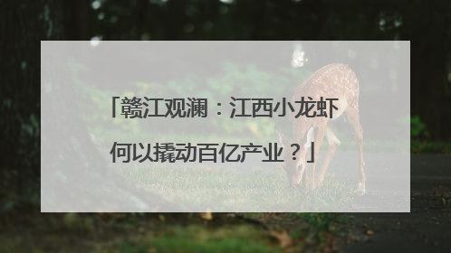 赣江观澜：江西小龙虾何以撬动百亿产业？