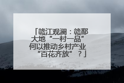 赣江观澜：赣鄱大地“一村一品”何以推动乡村产业“百花齐放”？